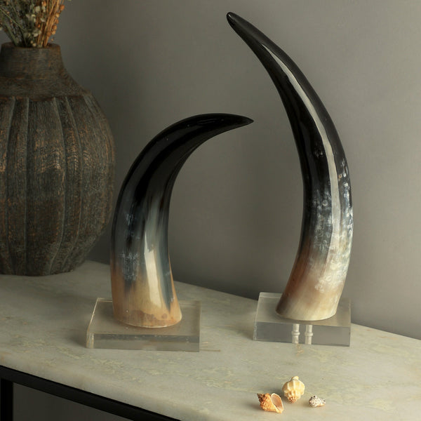 Milena Decorative Horn