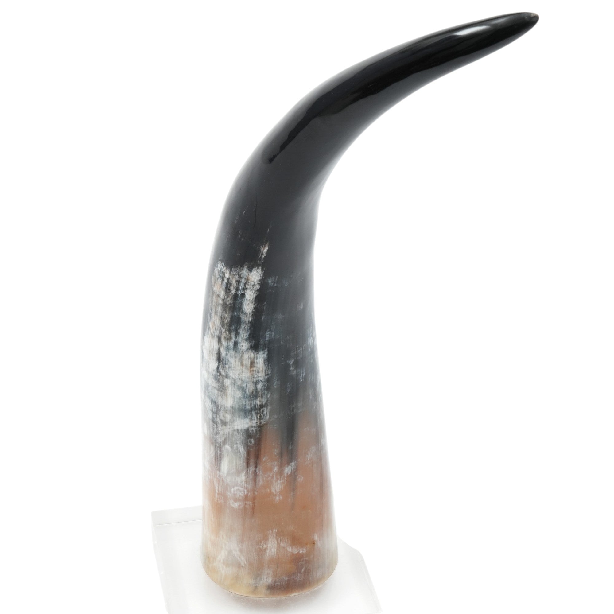 Milena Decorative Horn