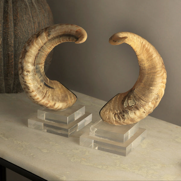 Marta Decorative Horn