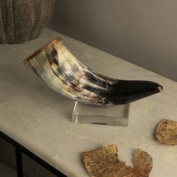 Iliana Decorative Horn