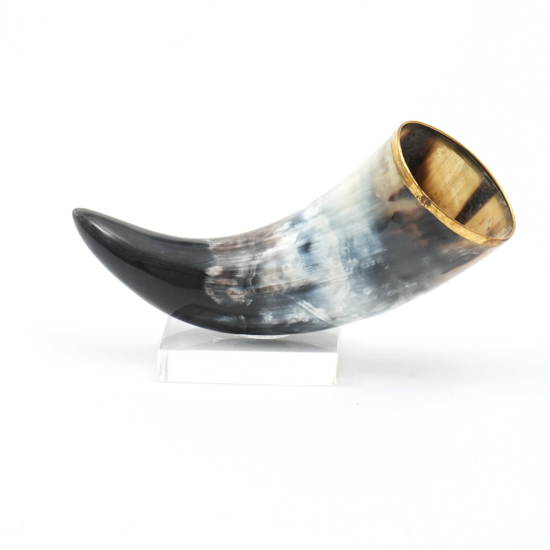 Iliana Decorative Horn