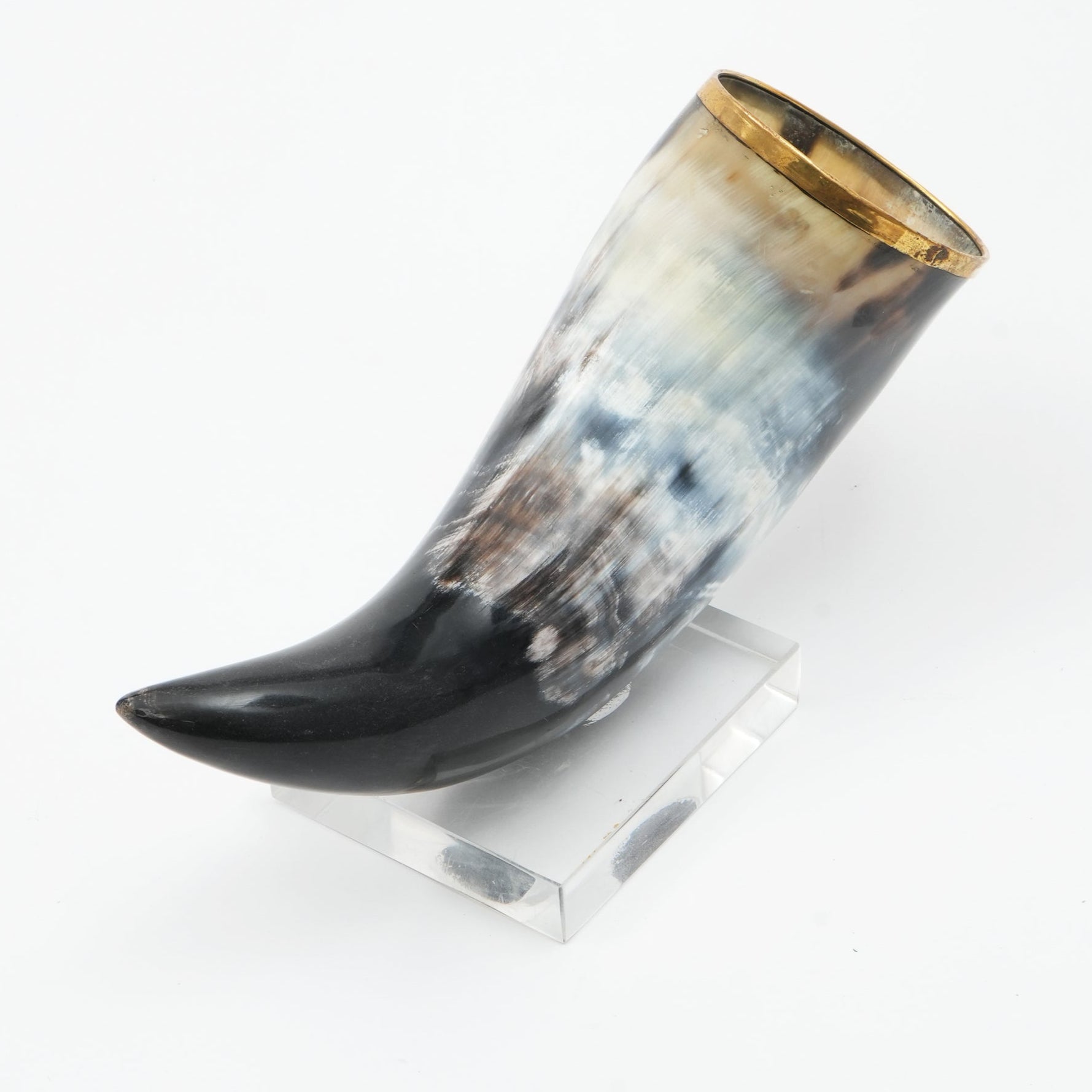 Iliana Decorative Horn