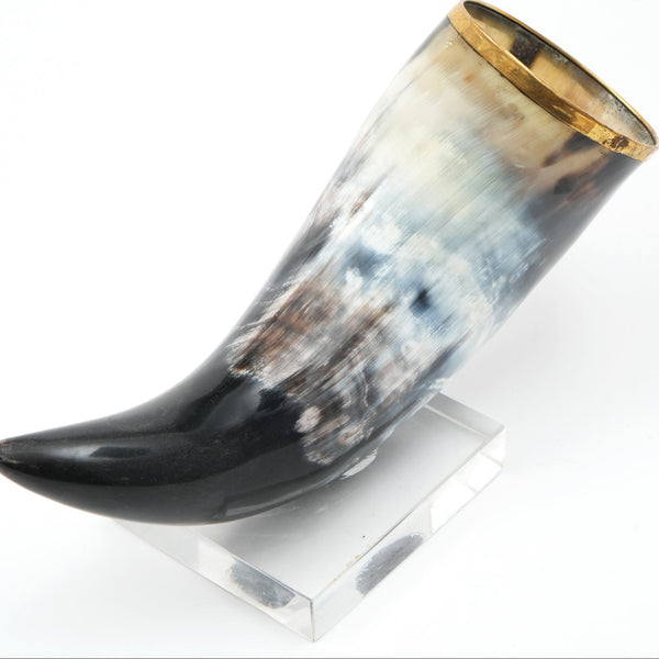 Iliana Decorative Horn