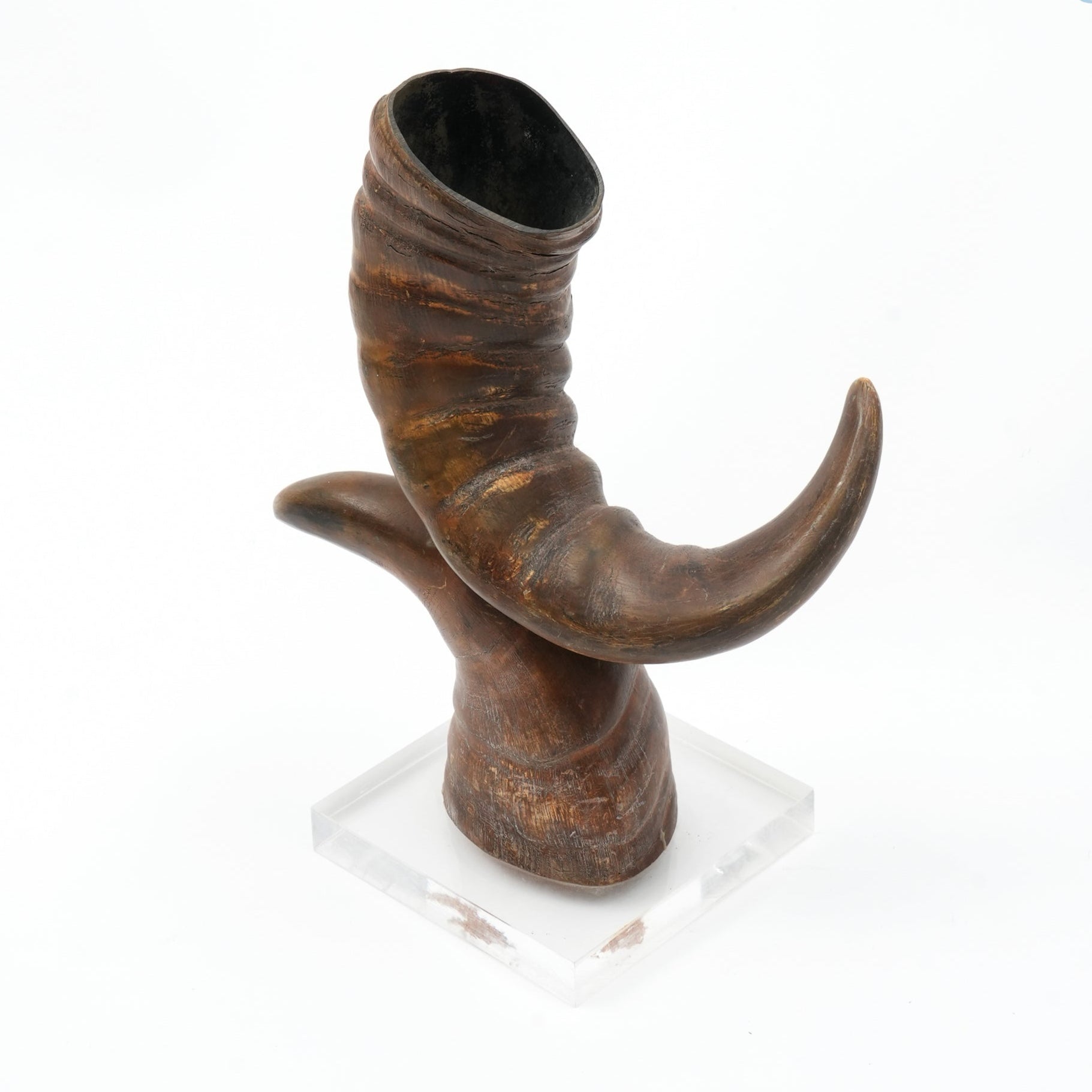 Graziella Decorative Horn