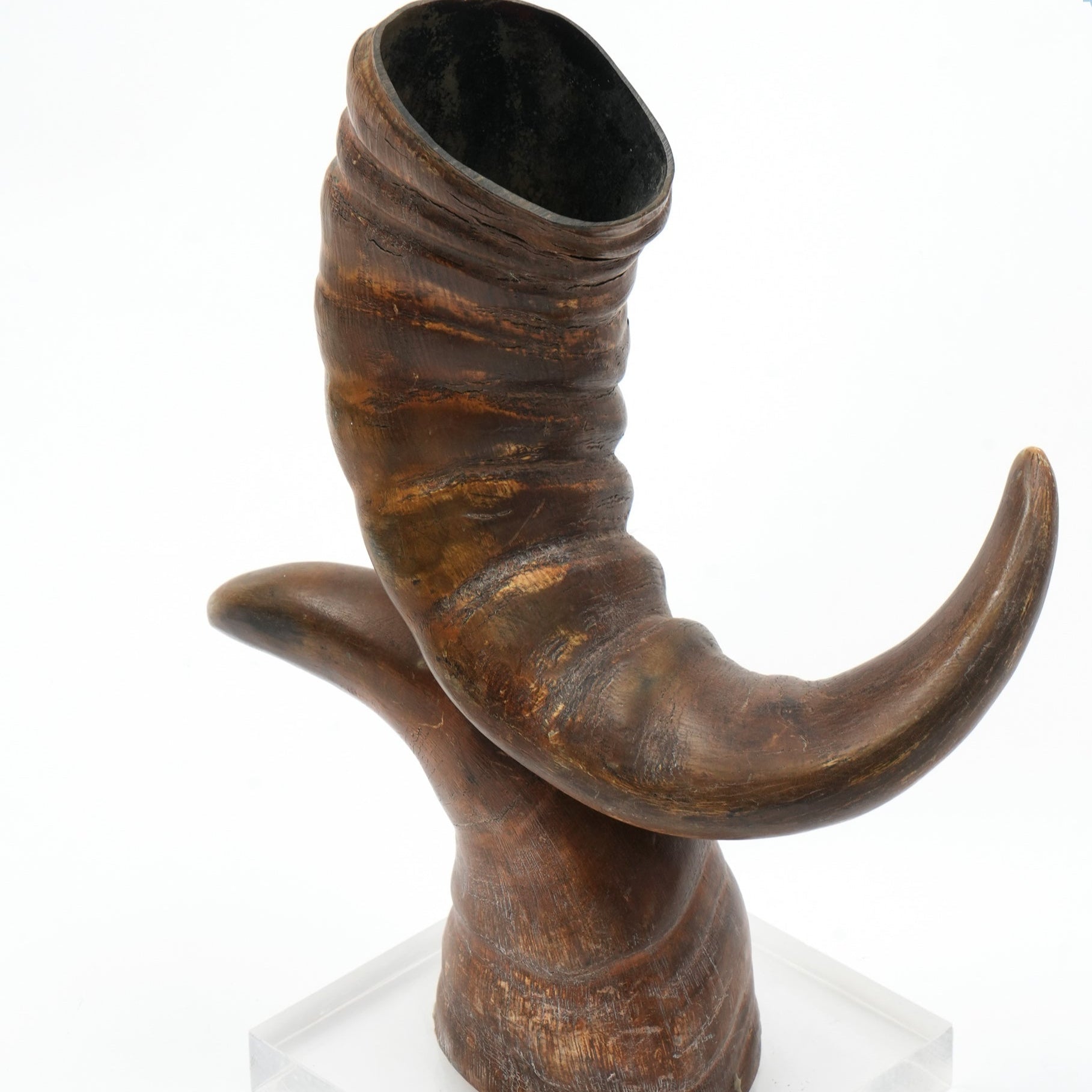 Graziella Decorative Horn