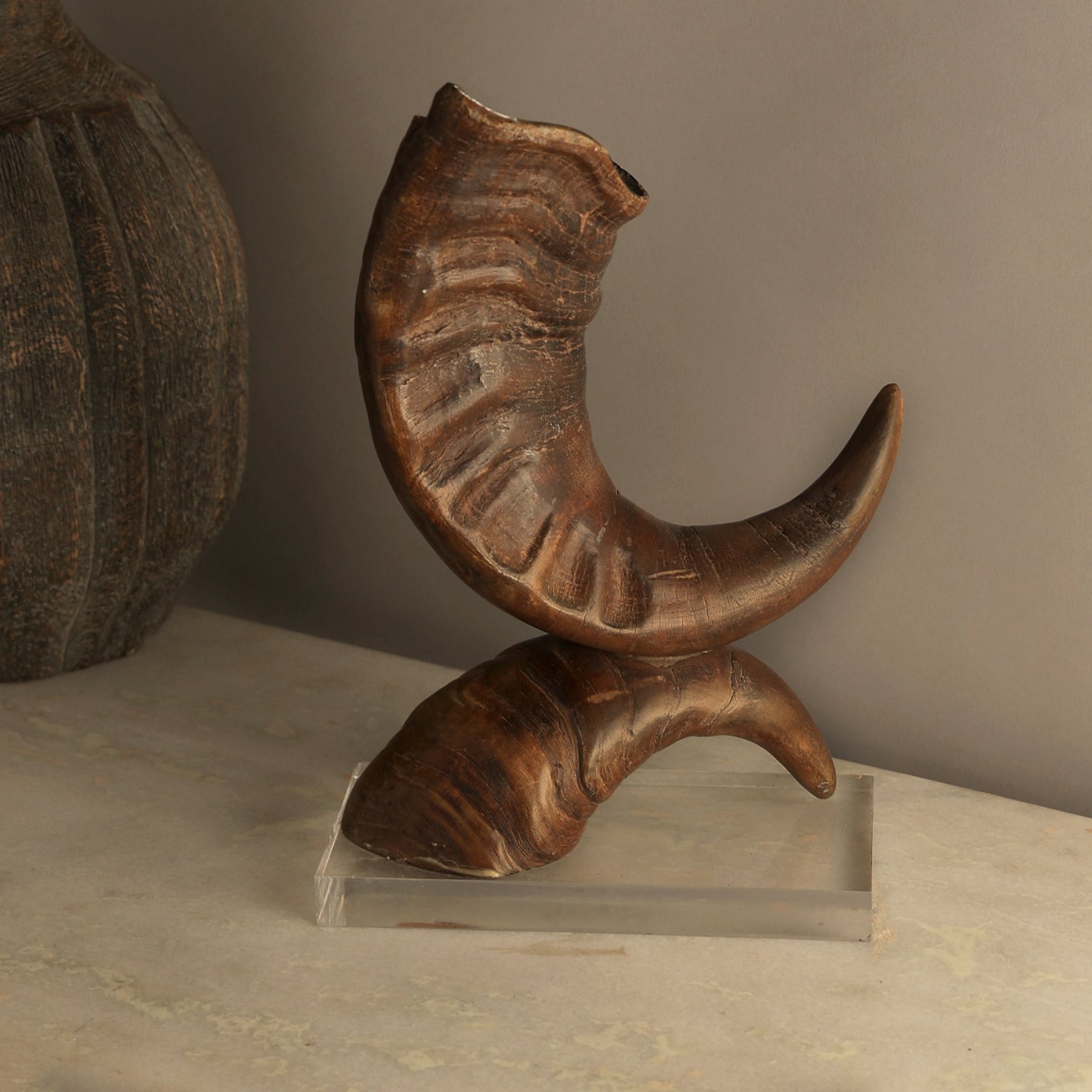 Graziella Decorative Horn