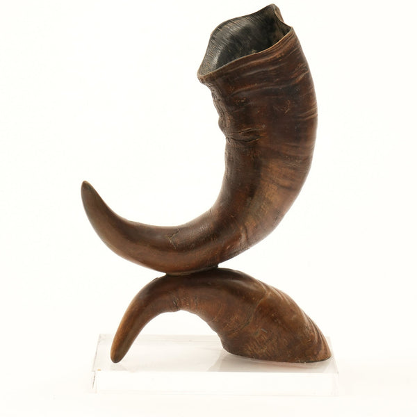 Graziella Decorative Horn