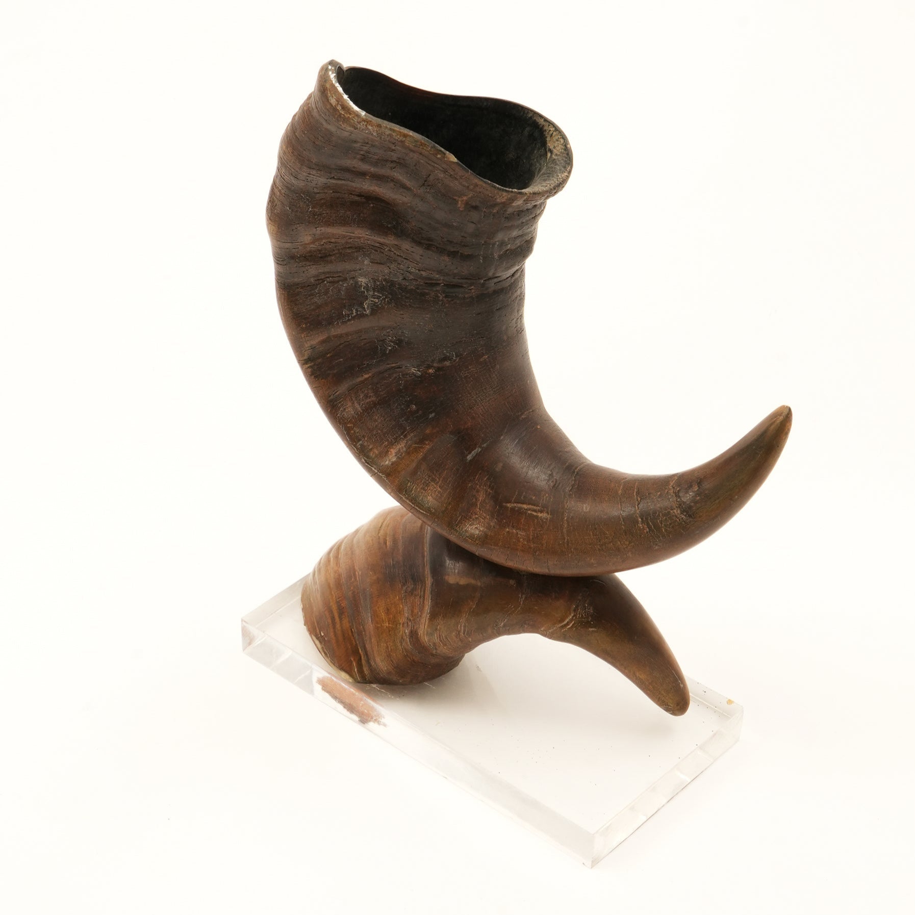 Graziella Decorative Horn