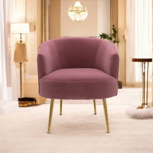 Alina Half Round Back-Chair