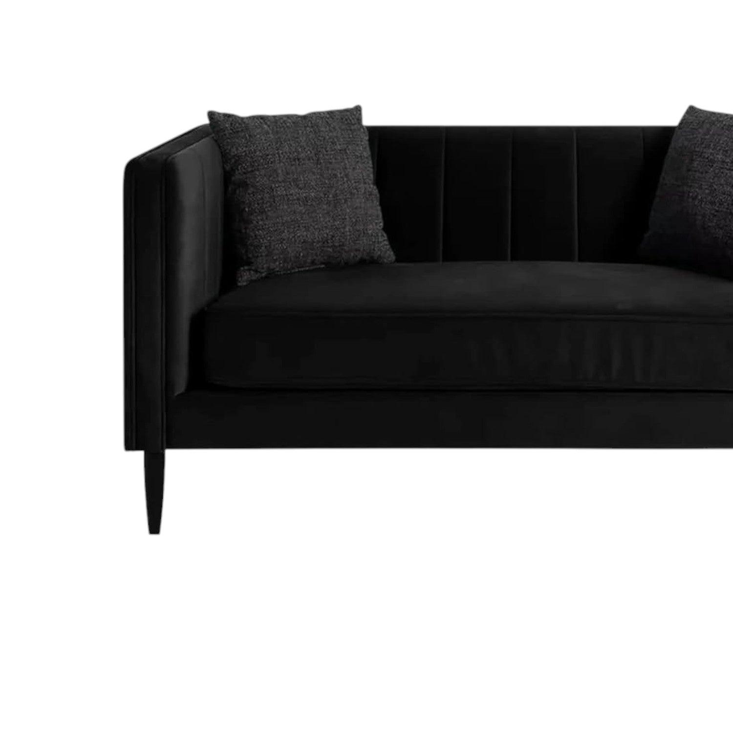 Tanvi 2 Seater Sofa