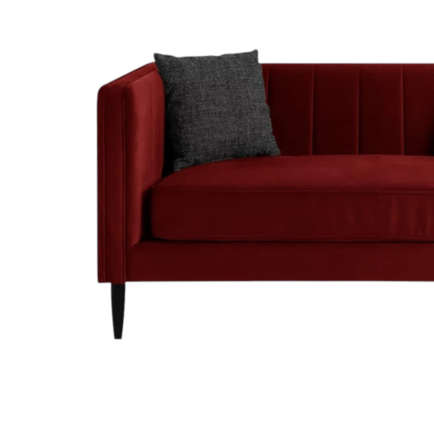 Tanvi 2 Seater Sofa