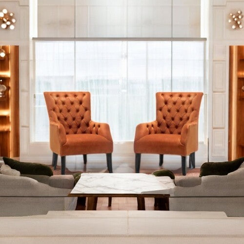 Élise Modern Elegance Armchair