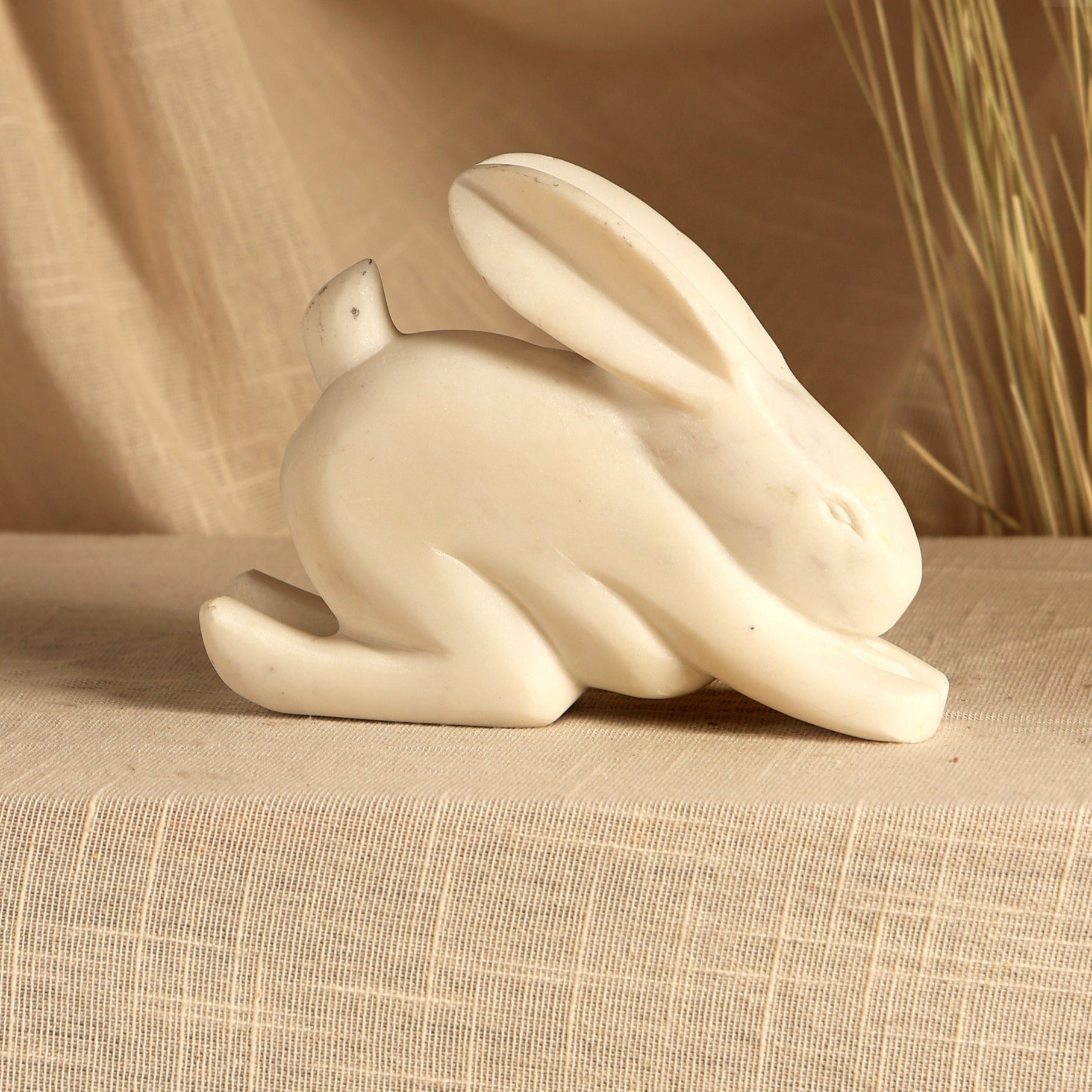 Steve Bunny