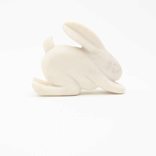 Steve Bunny